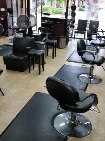 Our Salon Portfolio